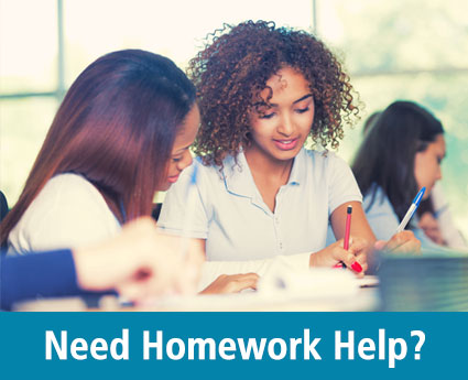 Homework Assistance